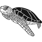 Aquatic Harmony