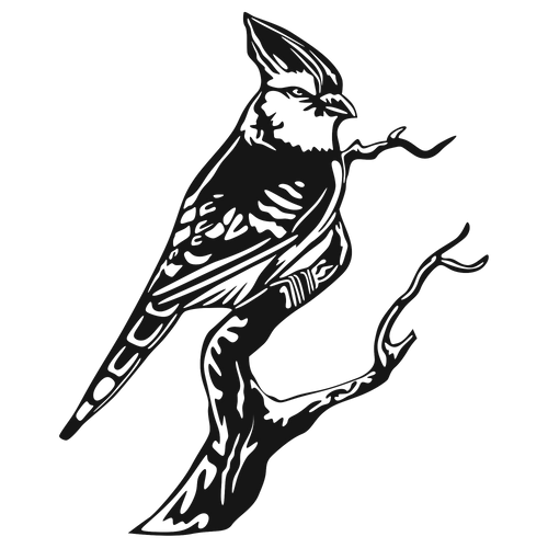 Blue Crest