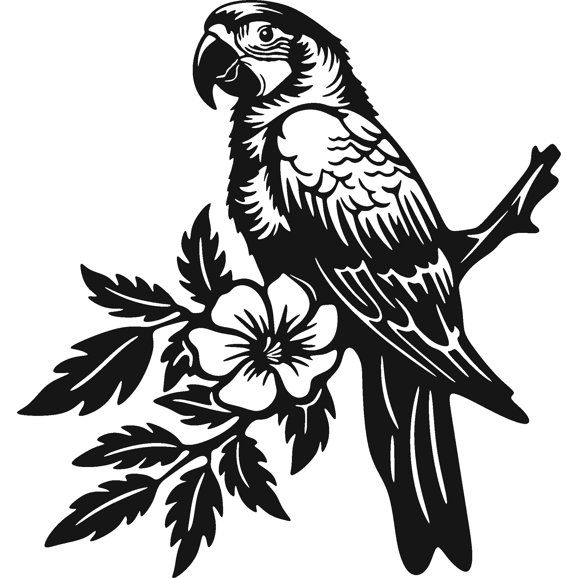 Bold Plumage