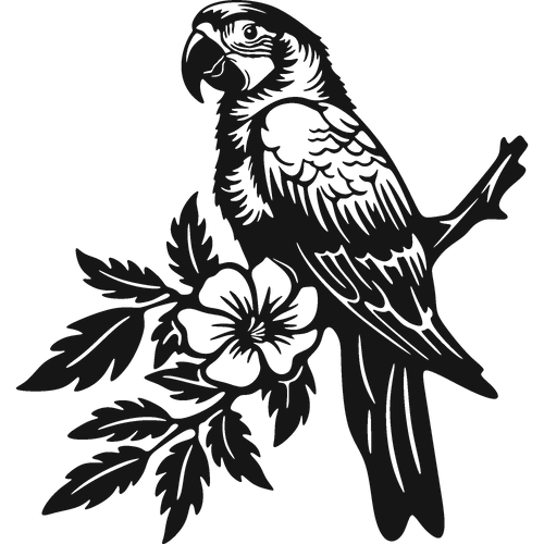 Bold Plumage