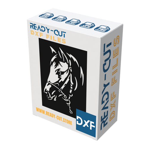 Bridled box art