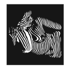 Cascade Silhouette