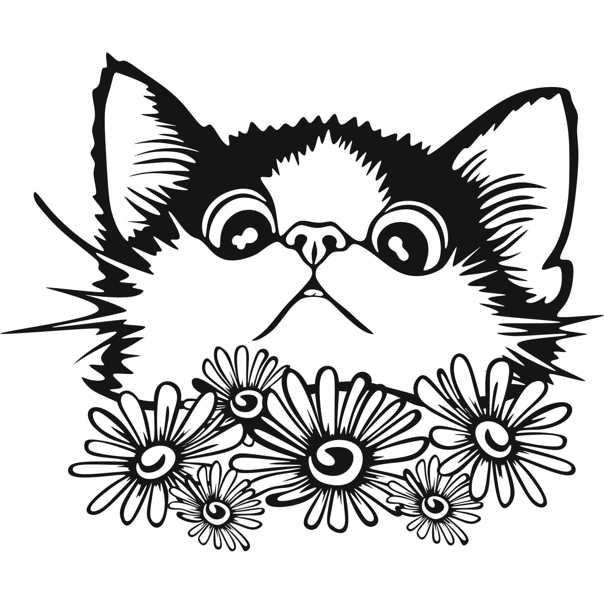 Daisy Kit