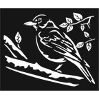 Dark Perch