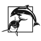 Dolphin Duo