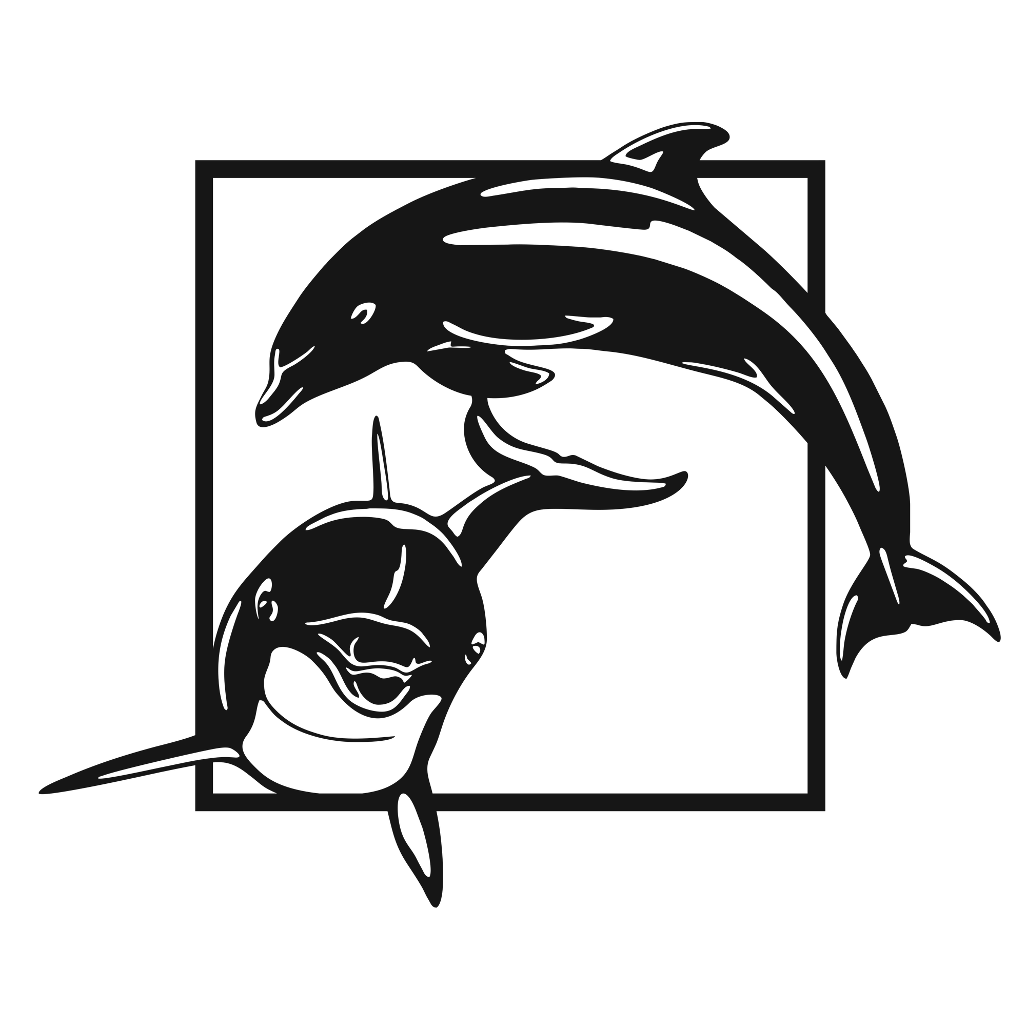 Dolphin Duo