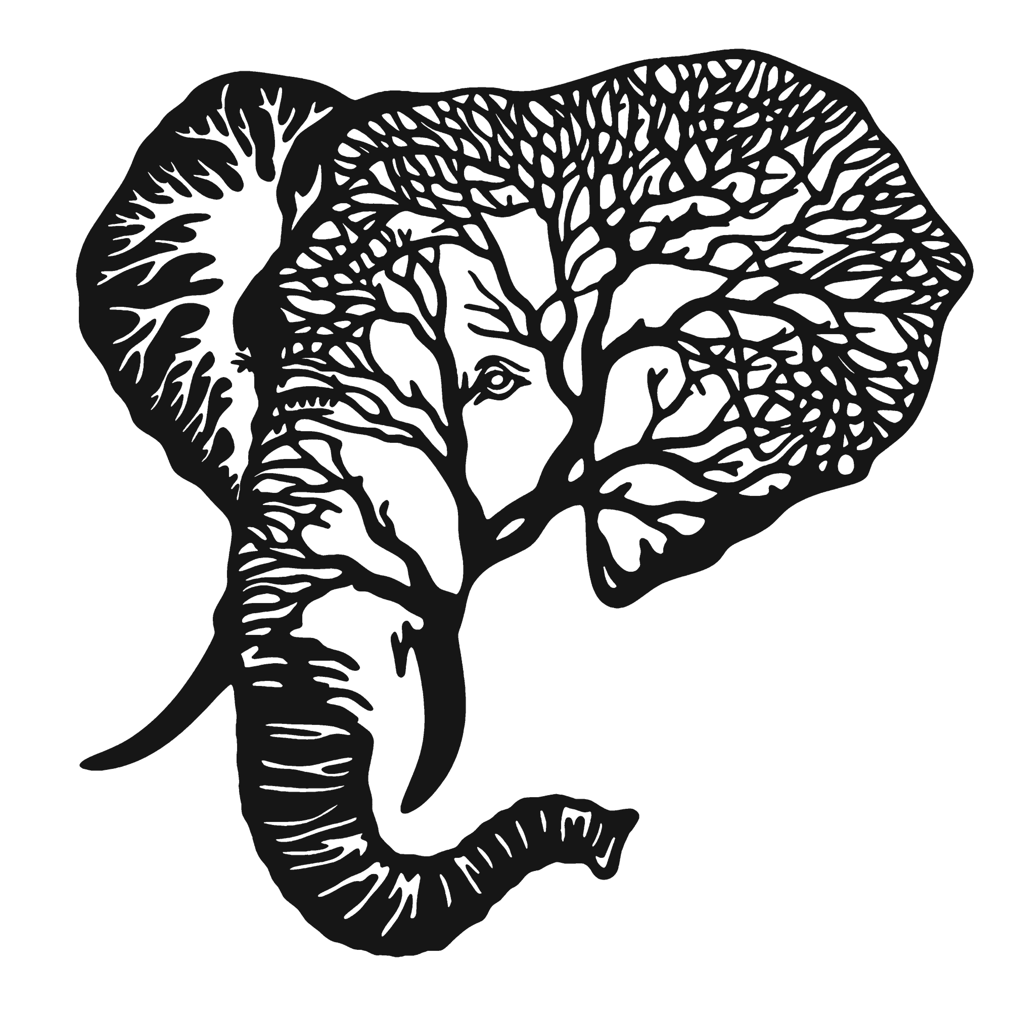 Elephant Still