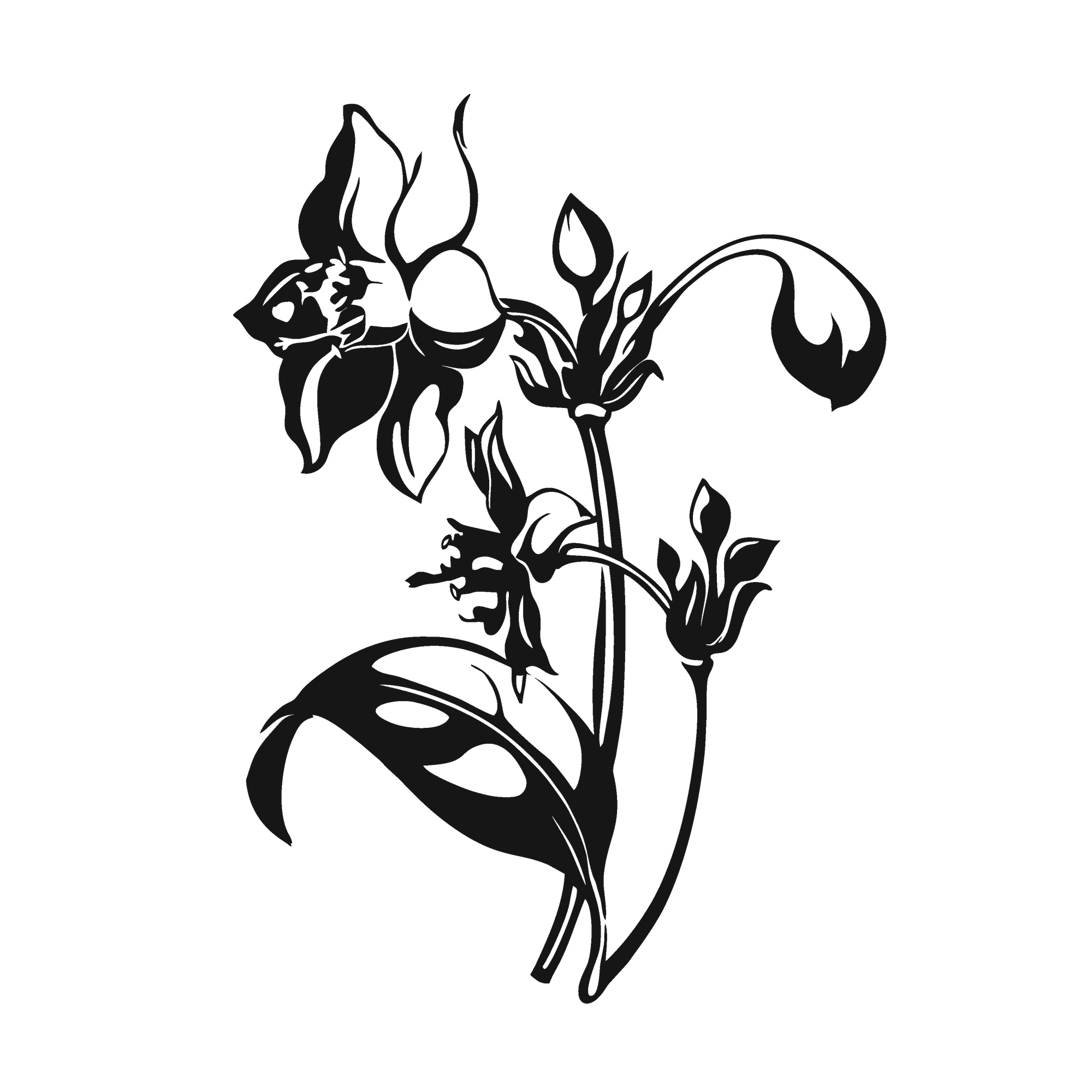 Flourish in Bloom