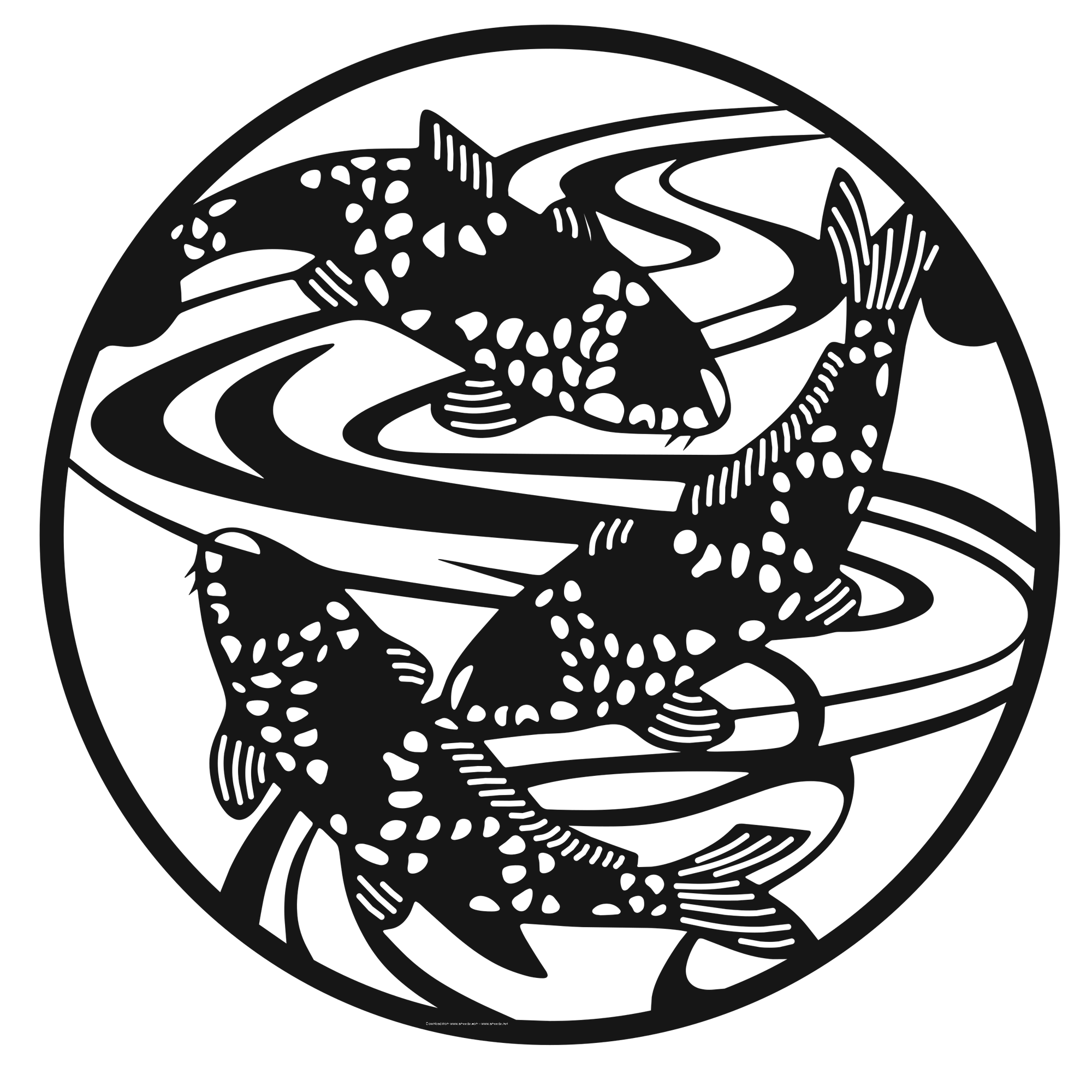 Flowing Koi