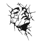 Fractured Awakening