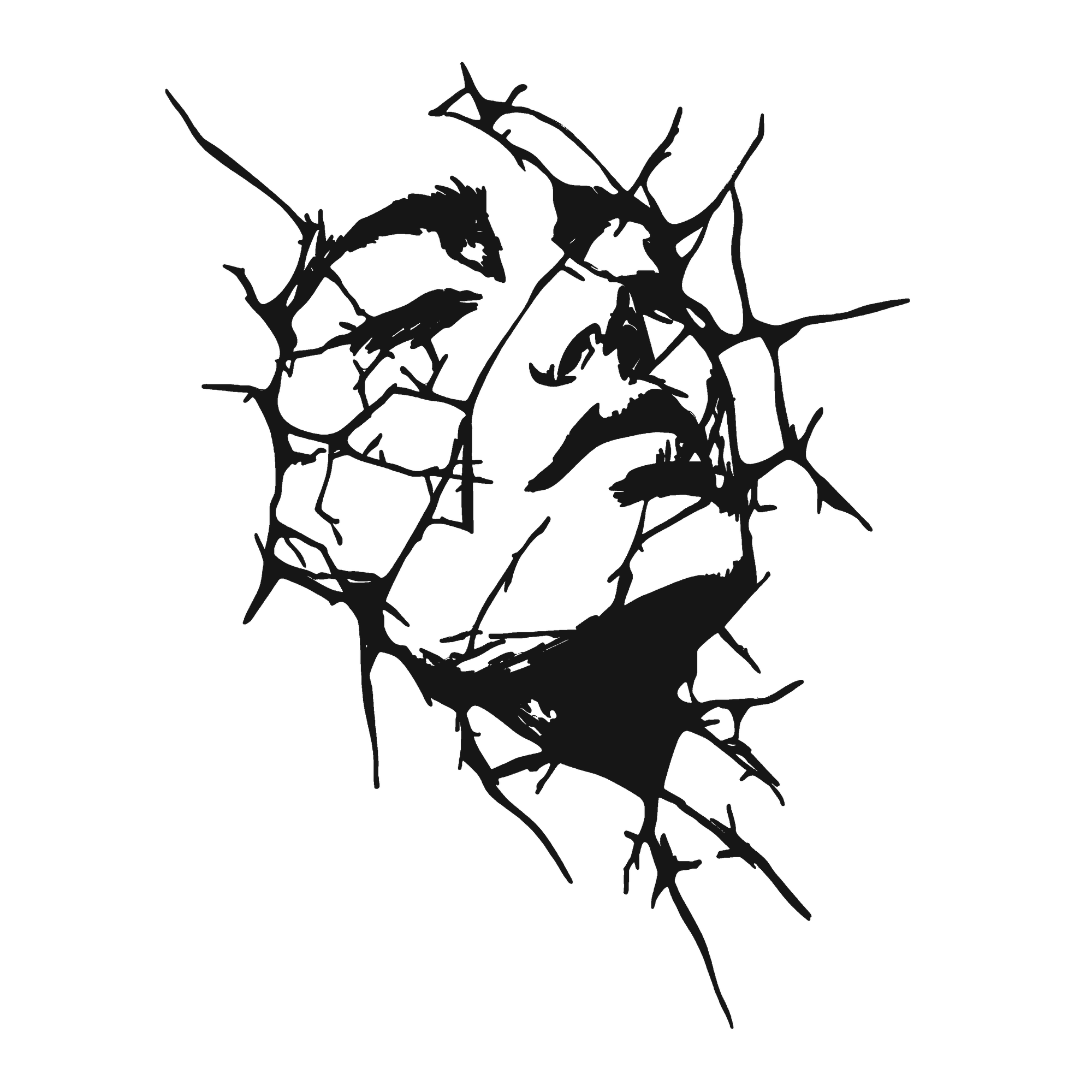 Fractured Awakening