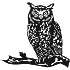 Night Watch