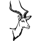 Noble Horns