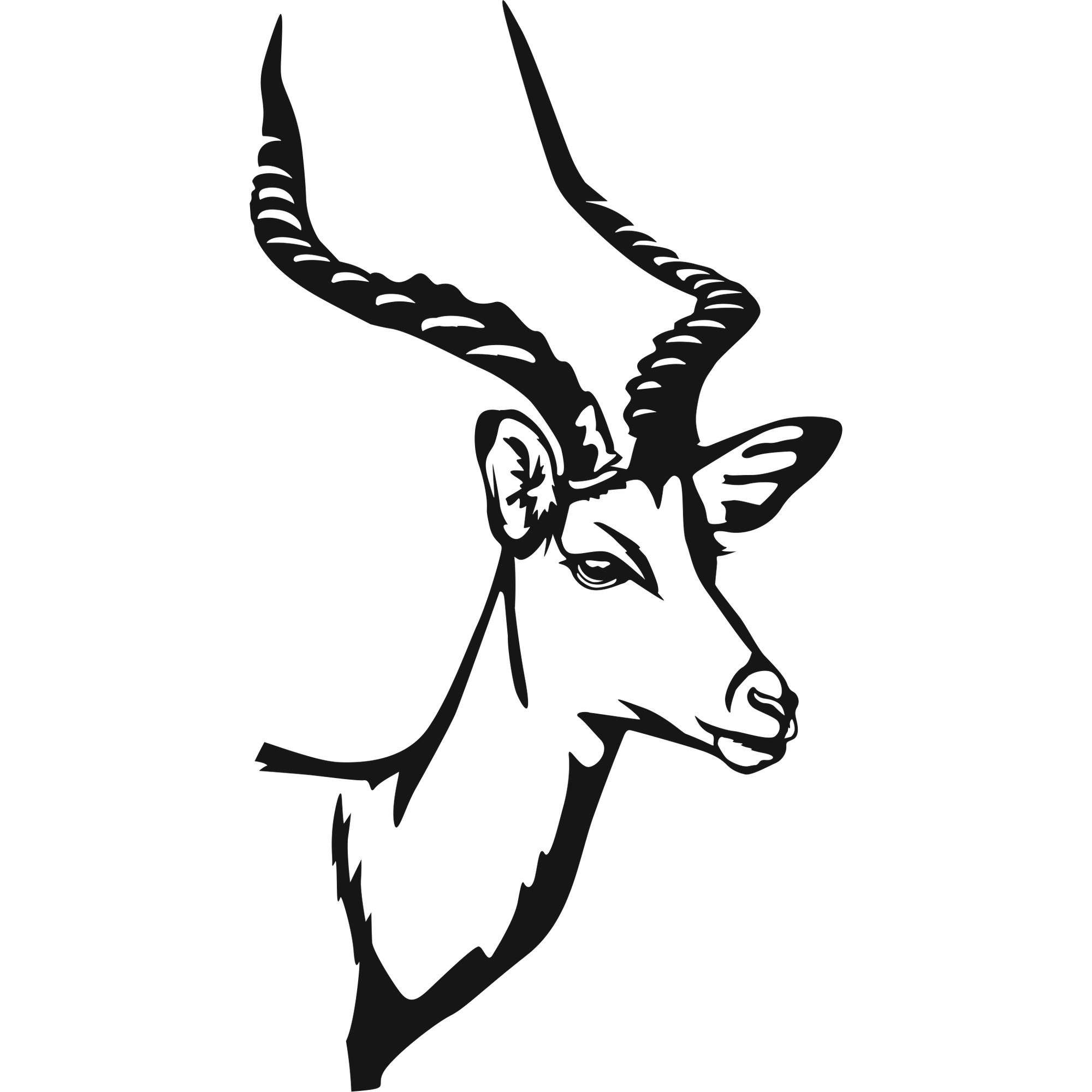 Noble Horns