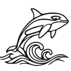 Orca Leap