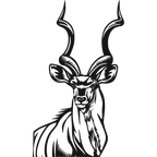 Regal Kudu