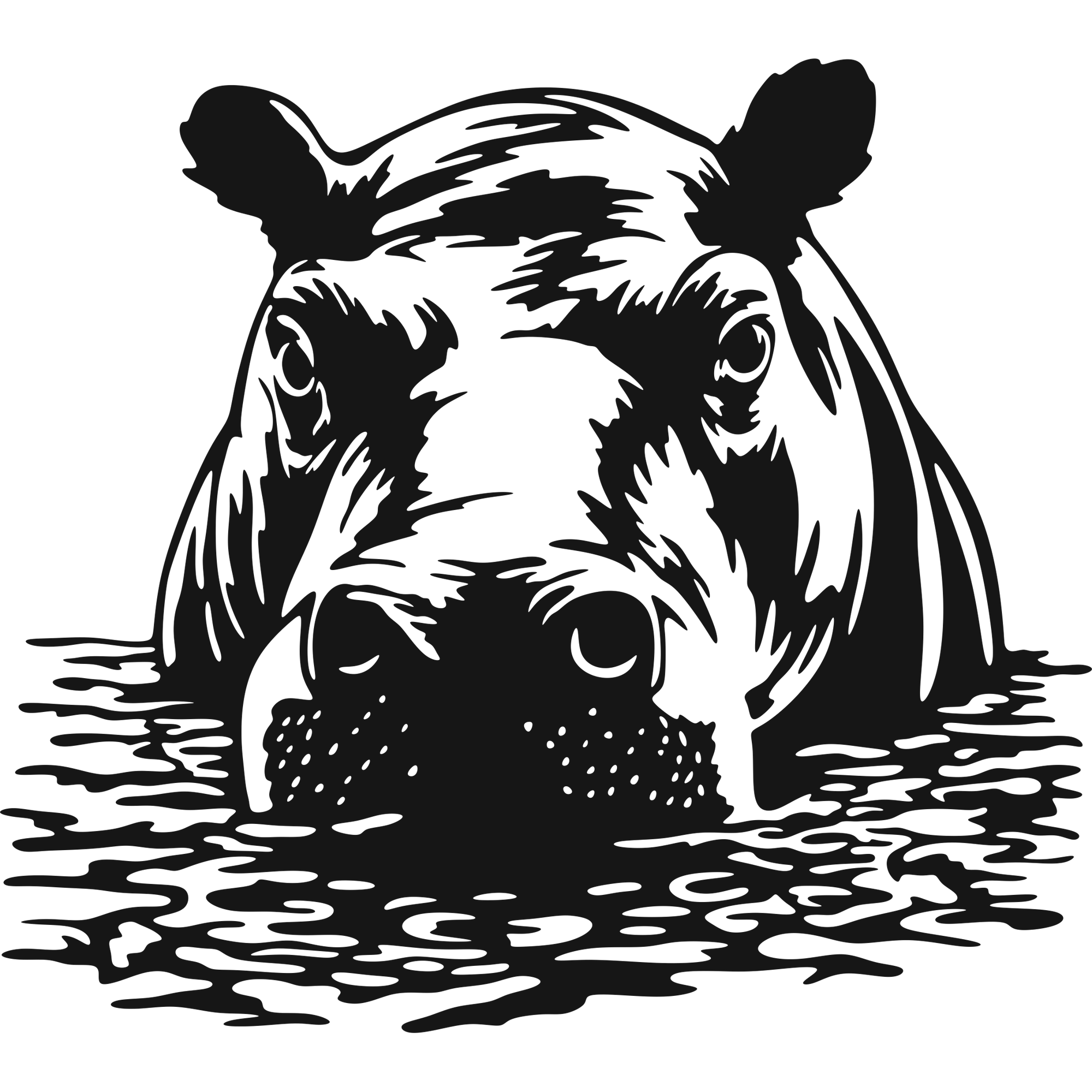 River Sentinel