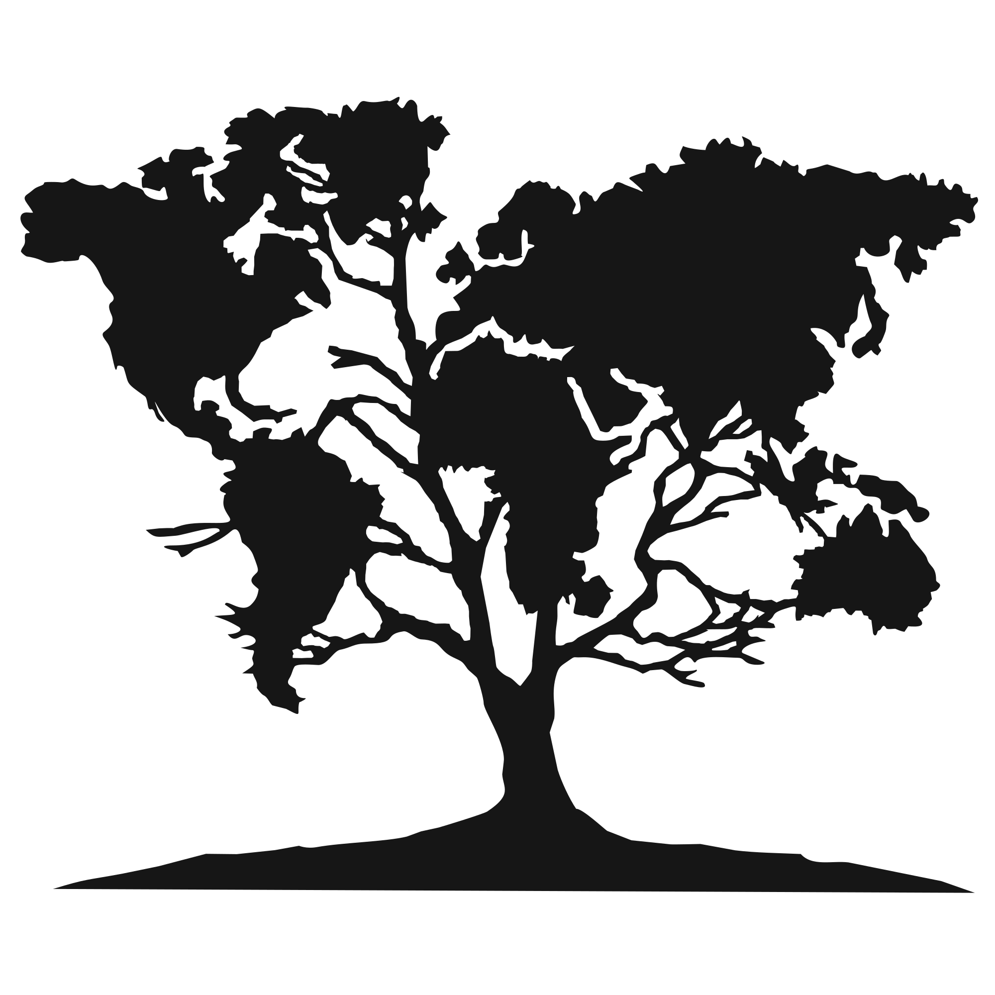 Rooted Everywhere