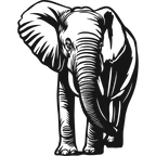 Savanna Giant