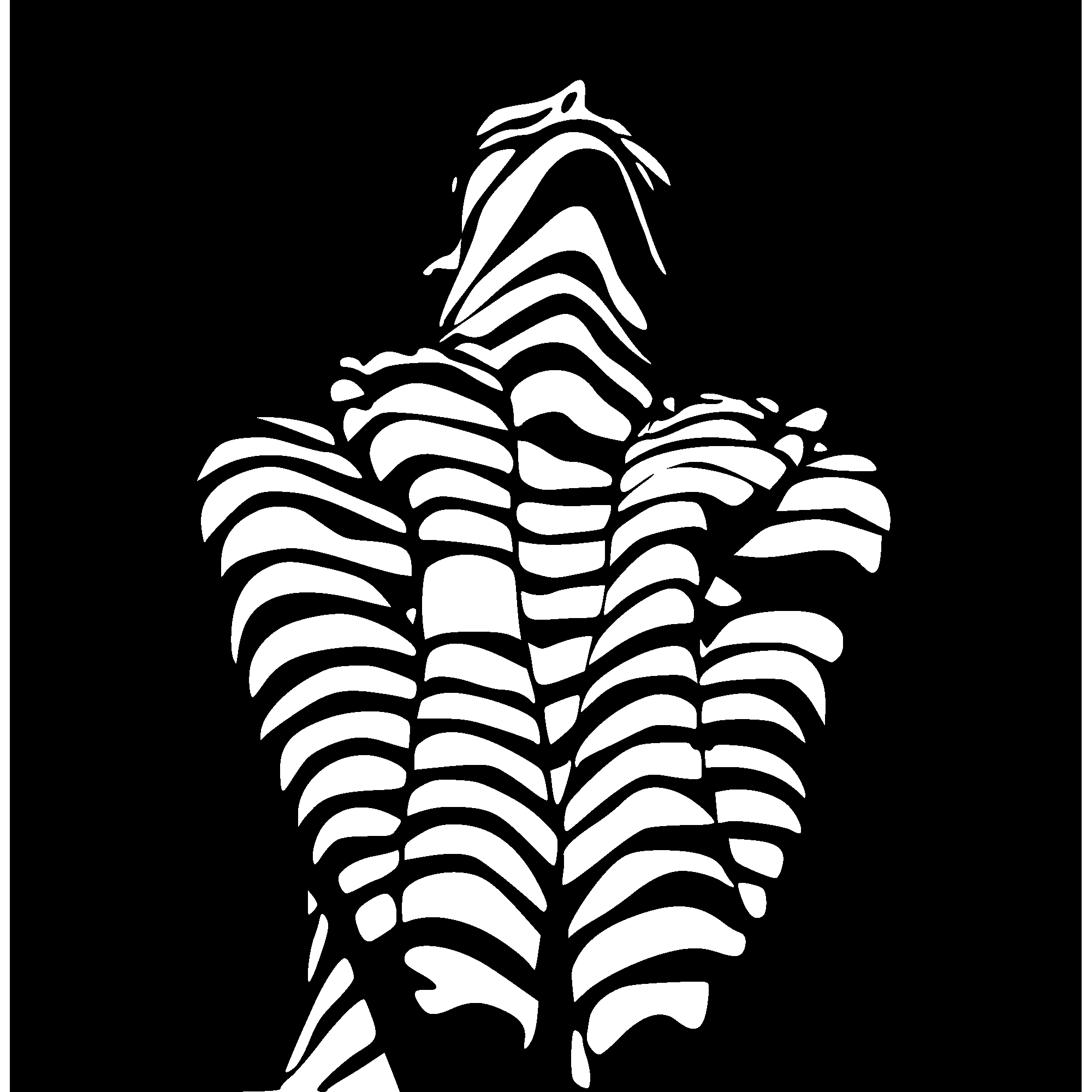 Second Skin