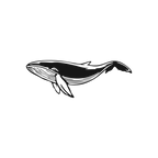 Serene Giant