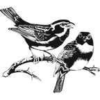 Thorn Pair