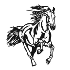 Wild Stride