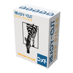 Zebra Within box art